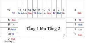 Cach Tinh Bac Cau Thang Theo Sinh Lao Benh Tu