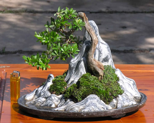 231435baoxaydung Image001